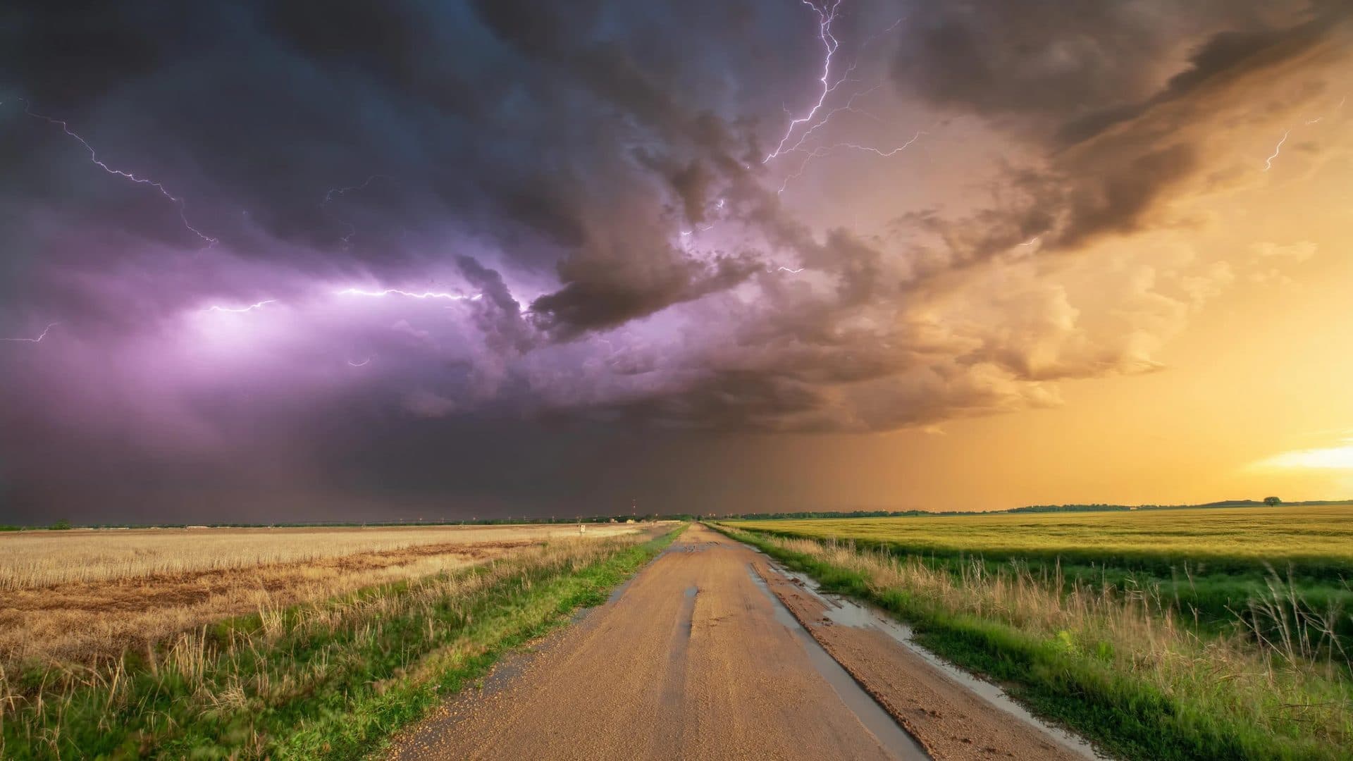 Lightning storm rolling over a dirt road and wheat fields in rural Oklahoma at sunset