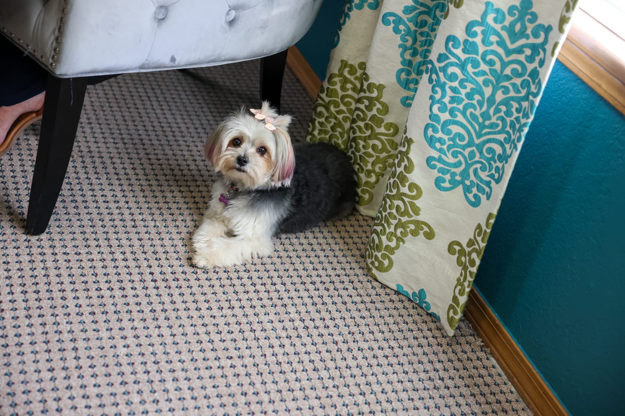 May, Office Mascot · Stansel Insurance Agency